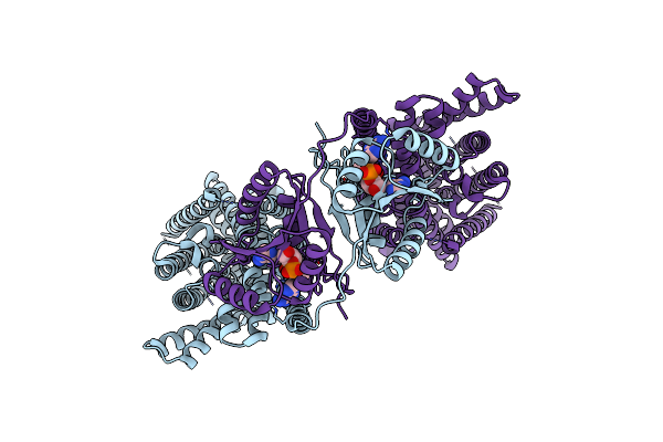 8B71 image