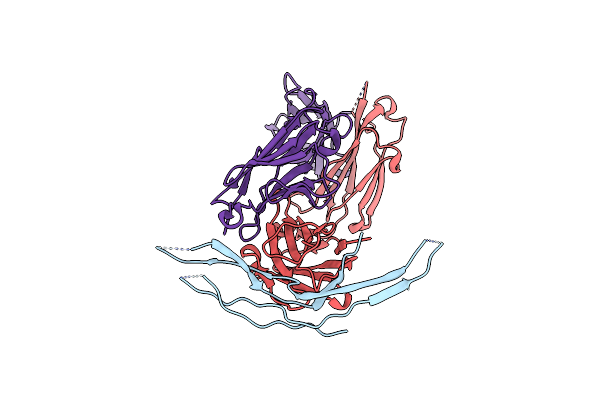 8B7H image