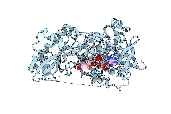 8B7S image