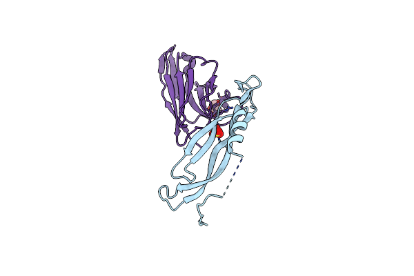 8B7W image
