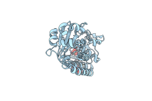 8B7X image