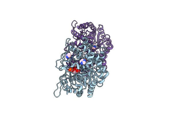 8B80 image