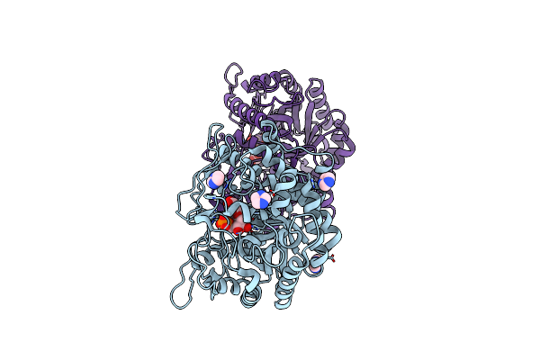 8B81 image