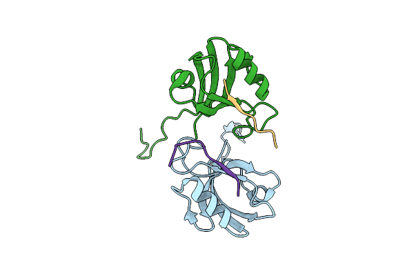 8B82 image