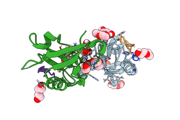 8B87 image