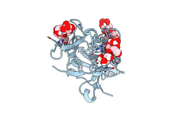 8B8F image