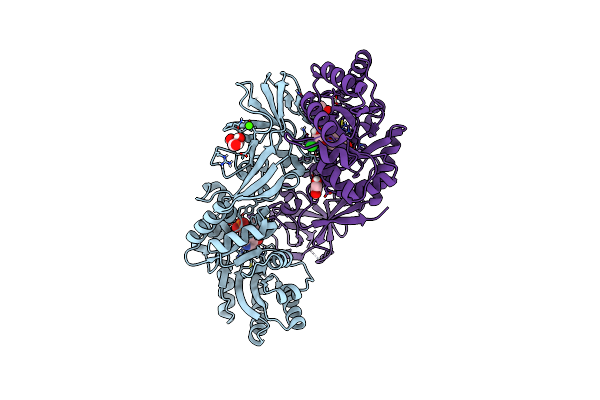 8B8H image