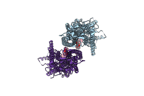 8B8K image