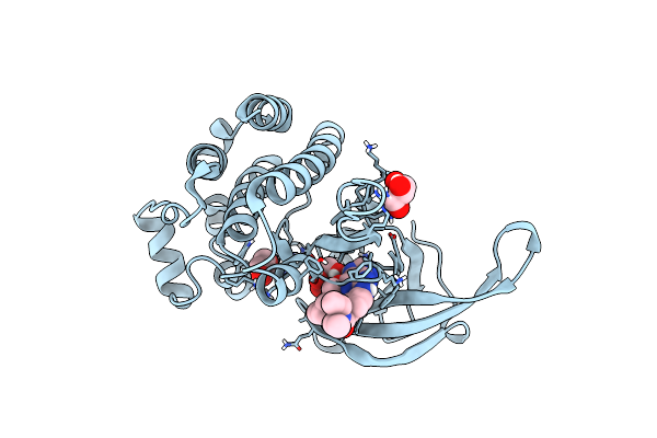 8B8N image