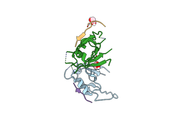 8B8O image