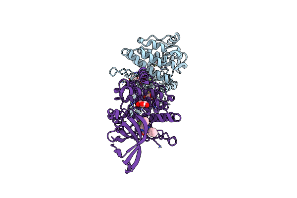 8B8U image