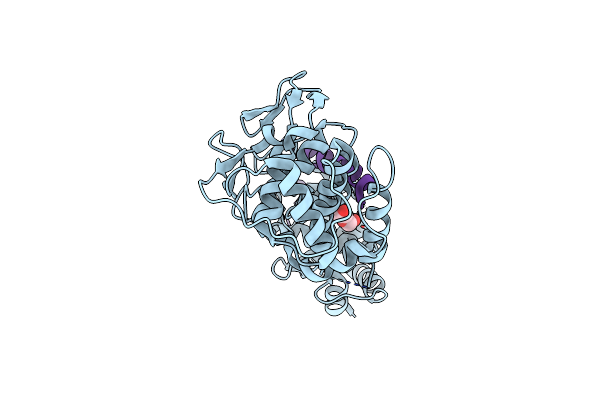 8B8V image