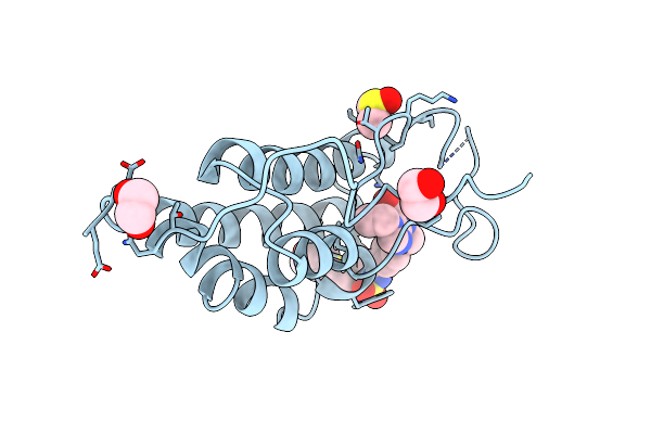 8B96 image
