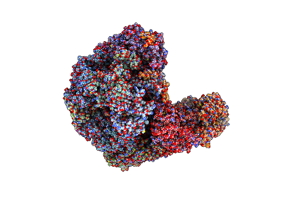 8B9B image