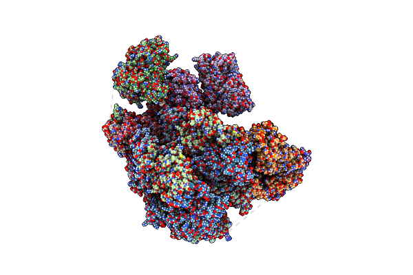 8B9D image