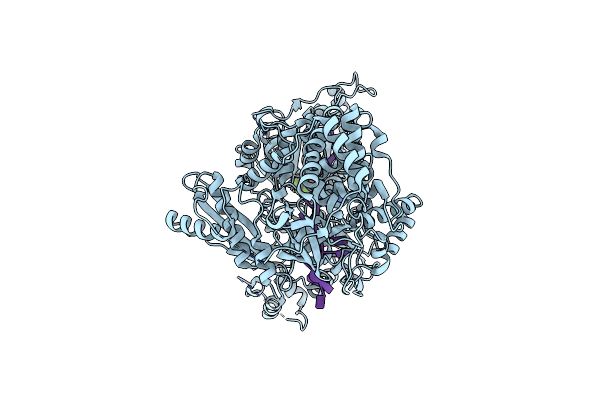 8B9G image