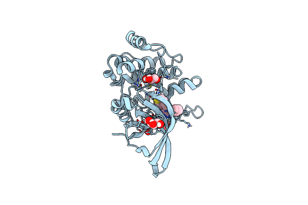 8B9H image