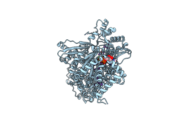 8B9I image