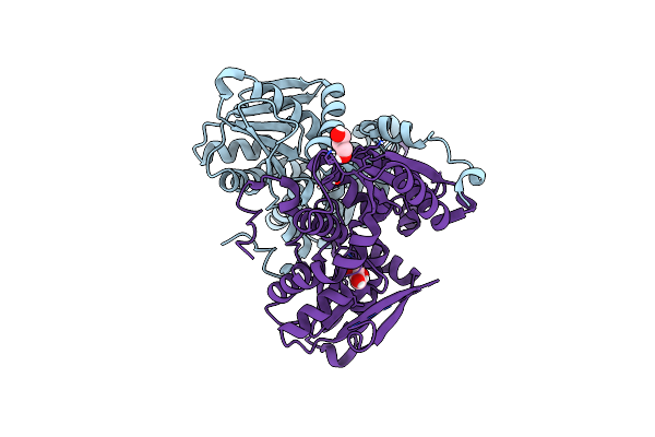 8B9M image