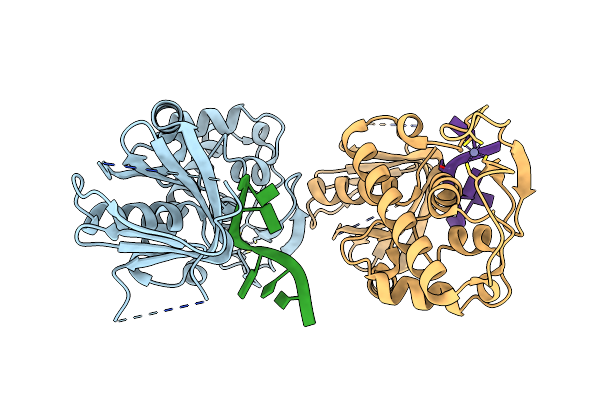 8B9N image