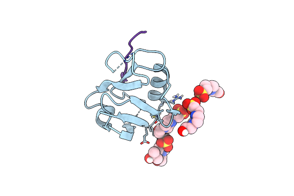 8B9T image