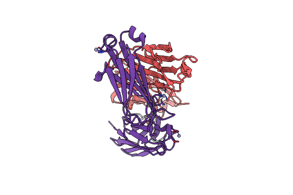 8B9V image