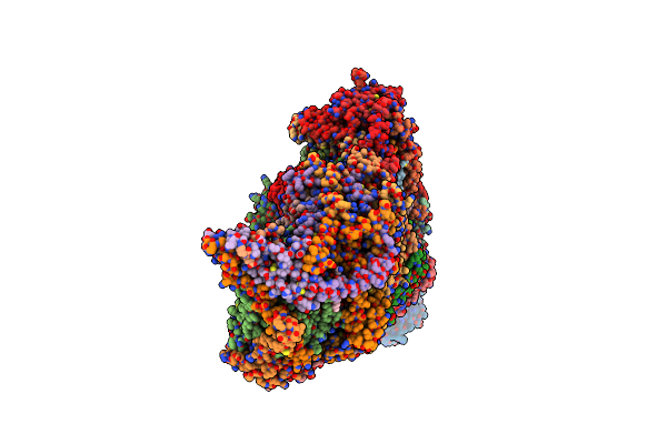 8B9Z image