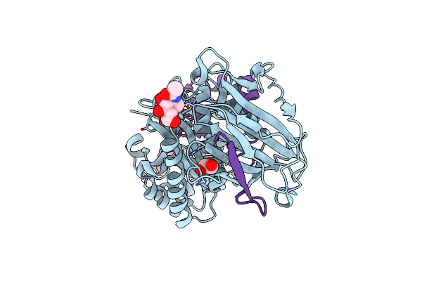 8BAC image