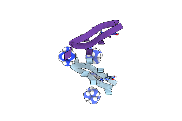 8BAF image