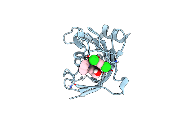 8BAJ image