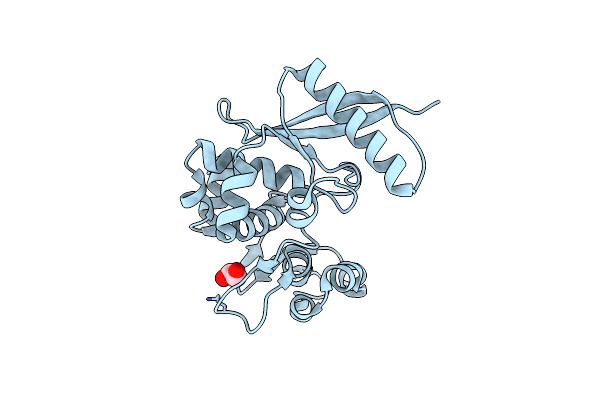 8BAT image