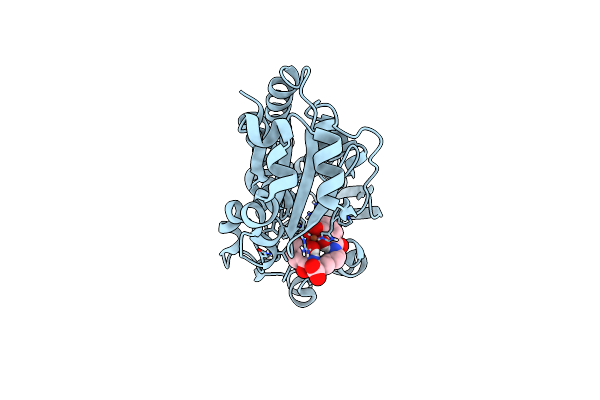 8BAX image