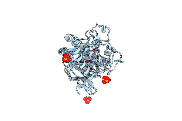 8BBA image