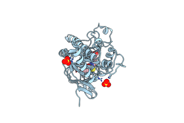 8BBD image