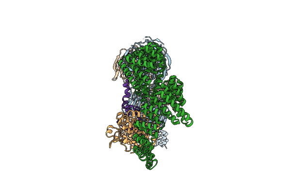 8BBE image