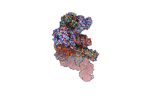 8BBG image