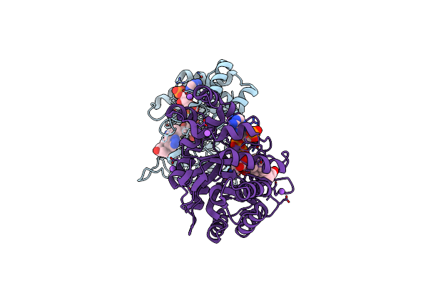 8BBS image