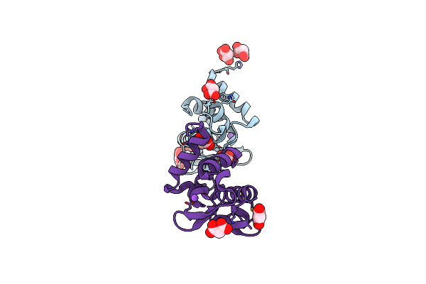 8BBU image
