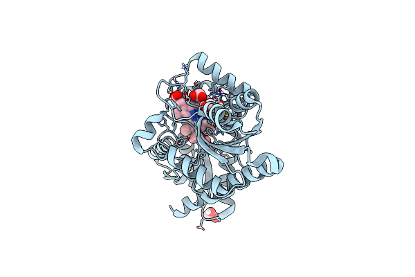 8BBV image