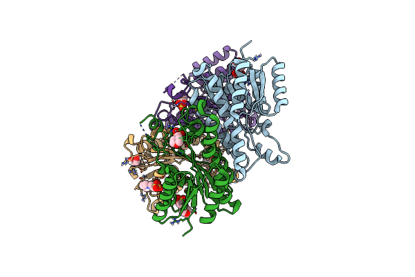 8BCI image