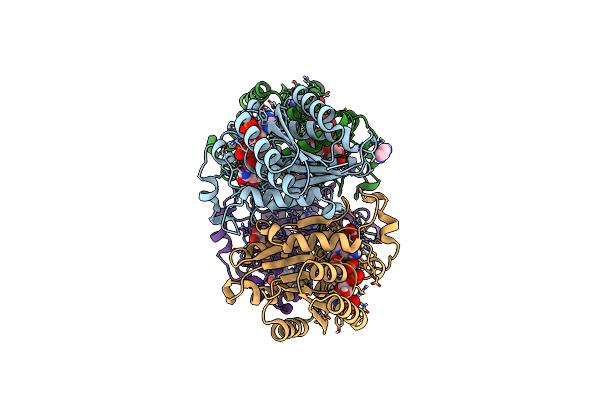 8BCJ image
