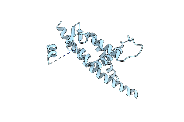 8BCL image