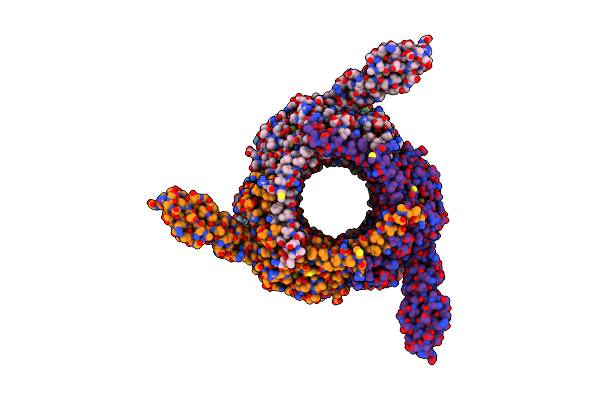 8BCP image