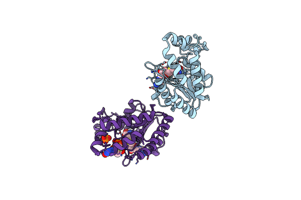 8BCR image