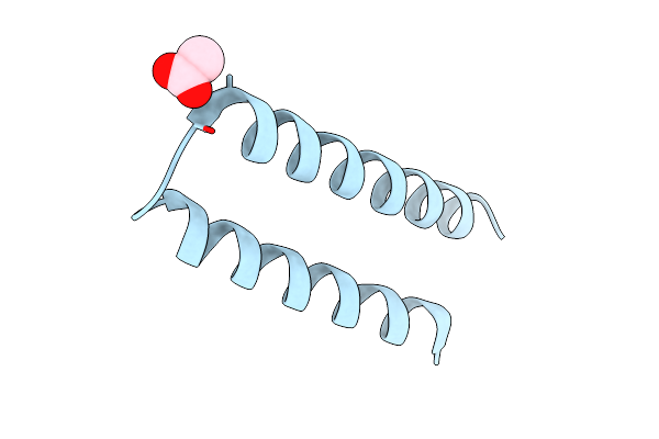 8BCS image