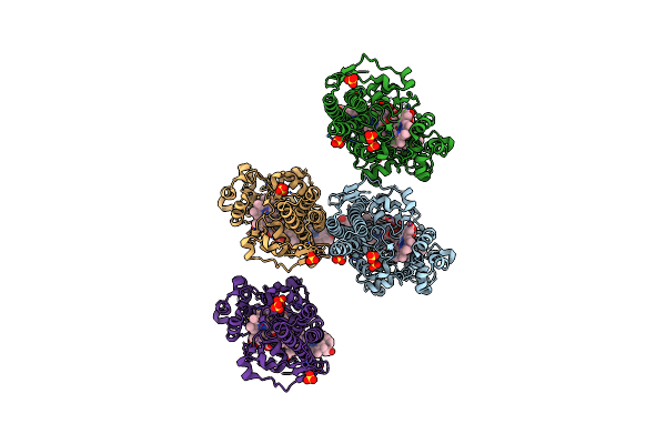 8BCX image