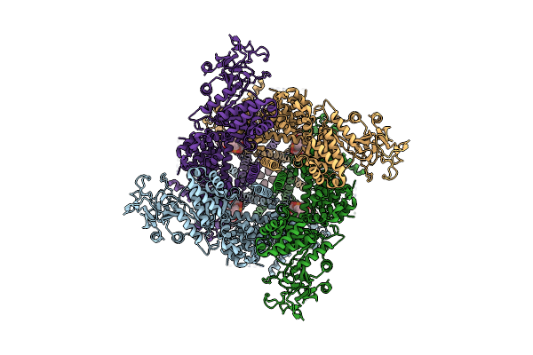 8BDC image