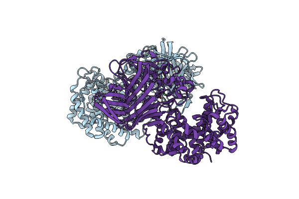 8BDD image