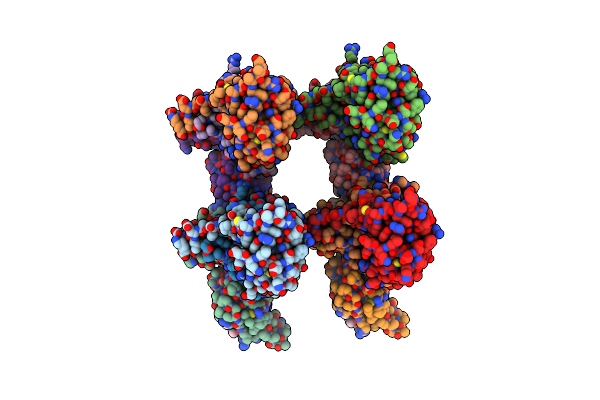 8BDI image
