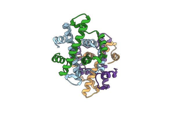 8BDK image